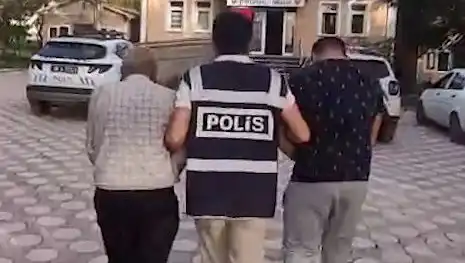 Köpek Dövüşleri İçin Operasyon: Gözaltılar ve Yeni Yasal Düzenlemeler