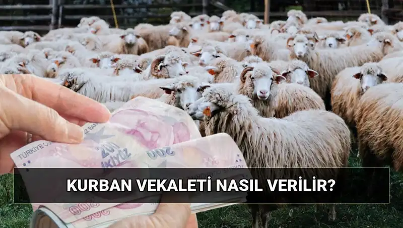 Vekaletle Kurban Kesimi: 2025'te Diyanet'in Belirlediği Bedeller ve Süreç