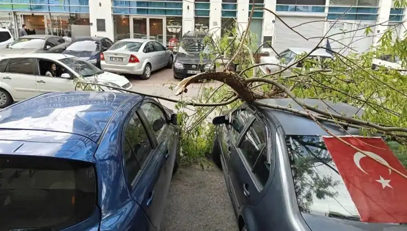 Kayseri'de Dalları Kıran Fırtına: Şehirde Hayatı Olumsuz Etkiledi