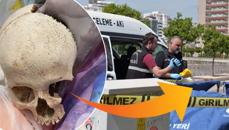 Sitenin Çöpünden Çıkan Kafatası: Uzman Doktordan Şok Detaylar!