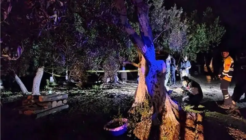 Çiftlikte Şok Edici Baltalı Vahşette İlk Tutuklama Gerçekleşti