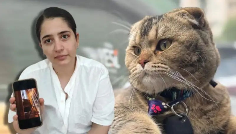 Kedi Yüzünden Boşanma Tehdidi: Evliliğin Kaderi Sokak Hayvanına Bağlı!