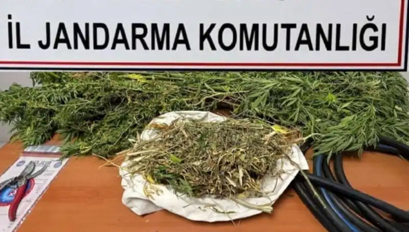 Niğde'de Uyuşturucu Operasyonu: Polisten Tarihi Baskın