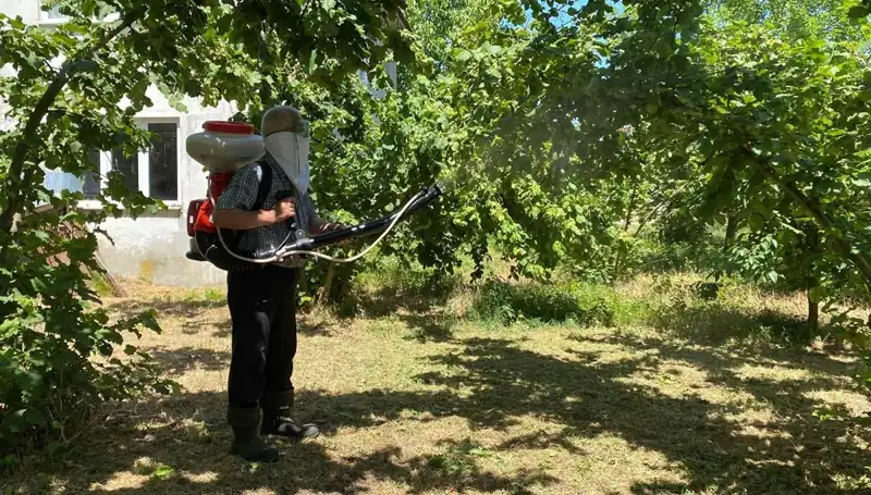 Çiftçiler, Kükürt ve Samuray Arısıyla Umut Arıyor: Zor Mücadele