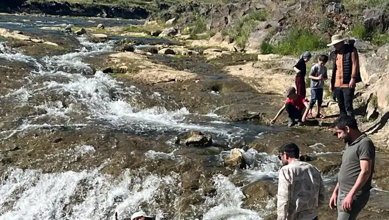 İnci Kefalinin Muhteşem Göçü: Doğa Severlerin Uğrak Yeri Oldu!