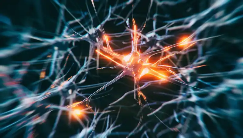 Alzheimer Vakalarının Artışı: Nedenleri ve Önleme Yolları