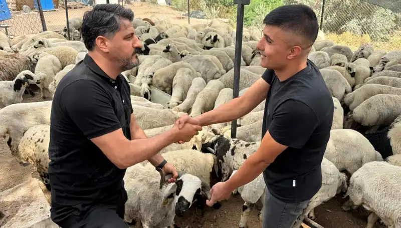 Kurbanlık Alırken Tuz ve Sumak Riskine Dikkat Etmelisiniz!