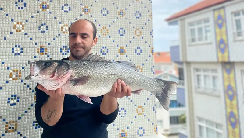 7,5 Kiloluk Dev Levrek Avlandı: Balıkçıların Gözdesi Oldu