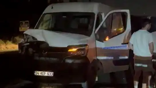 İstanbul'da Manda Kazası: Üç Kişi Yaralandı, Hem Şehirde Hem Tarımda Olumsuz Etkiler