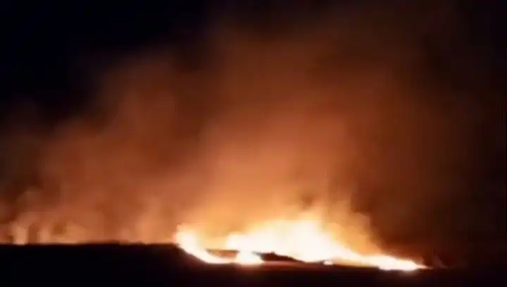 Tekirdağ'da 20 Dekar Buğday Tarlası Kül Oldu: Sebepleri ve Sonuçları