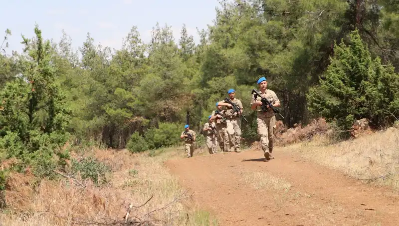 Kilis’te Orman Yangınlarıyla Mücadele: Denetimler Artıyor