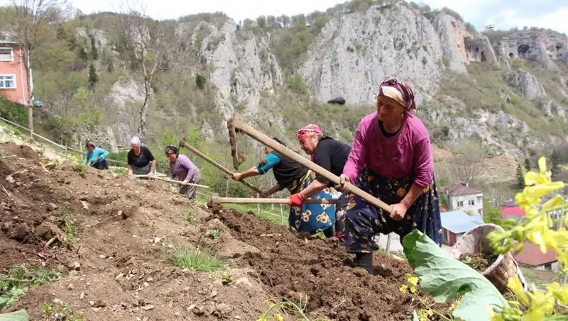 Zorlu Mesai Başladı: Sepetler ve Kazmalarla Mücadele Ediyorlar