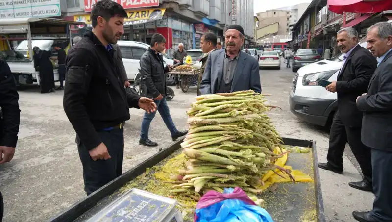 Dağlık Alanların Şeker Mucizesi: Kanser ve Mide Hastalığına İyi Gelen Doğal Bir Şifa
