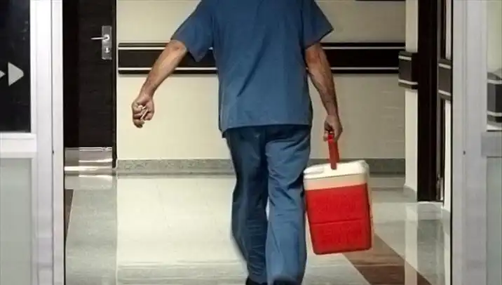 Organ Bağışında Yeni Dönem: e-Devlet ve e-Nabız ile Kolaylaştırıyoruz