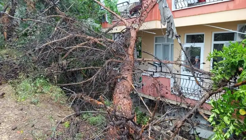 Yağmur, Eski Bina İçin Sonun Başlangıcı Oldu: Devrildi!
