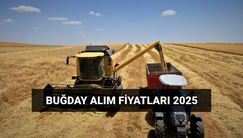 Hububat Alım Ücretleri Ne Zaman Yatacak? İşte 2025 Fiyatları!