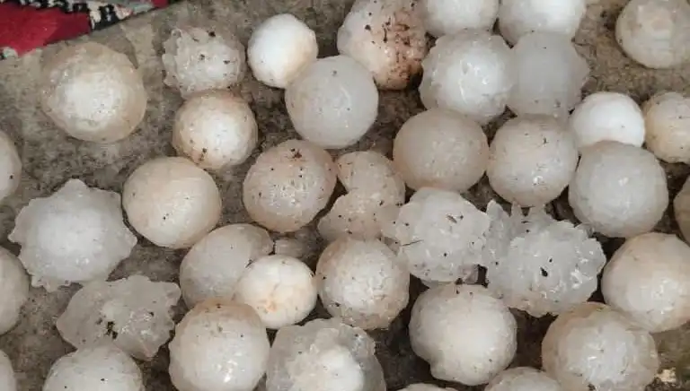 Şanlıurfa’yı Vuran Kar Topu Büyüklüğündeki Dolu Olayı Şaşırttı