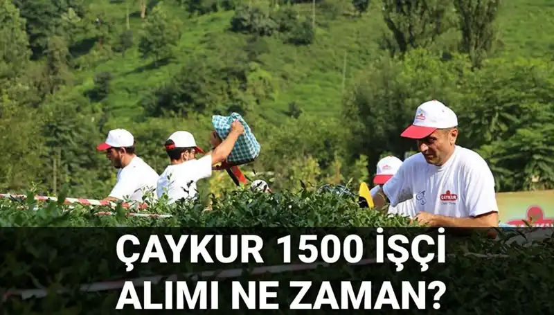 Çaykur İşçi Alımı İçin Başvuru Tarihleri Açıklandı: Şartlar ve Süreç!