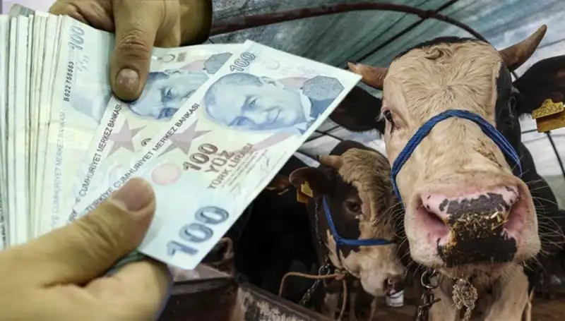 Memur ve Emekli Maaşları Bayram Öncesi Yatacak mı? Müjdeli Açıklama Geldi!