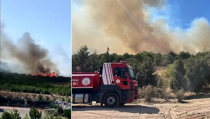 Gebze'de Korkutan Orman Yangını: Ekipler Mücadeleye Devam Ediyor
