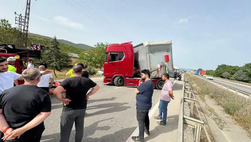 Seyir Halindeyken Arı Soktu, Trafik Kilitlendi: Şok Edici Olay