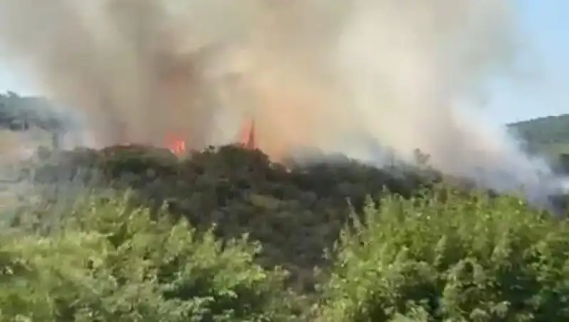 İstanbul'da Orman Yangını: Acil Tahliye Süreci ve Son Durum