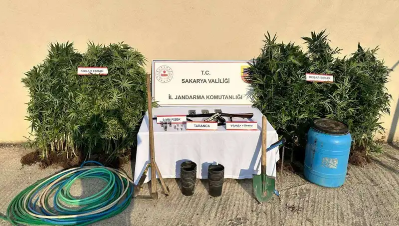 Sakarya’da Uyuşturucu Operasyonu: Polisi Büyüleyen Detaylar ve 1 Tutuklama