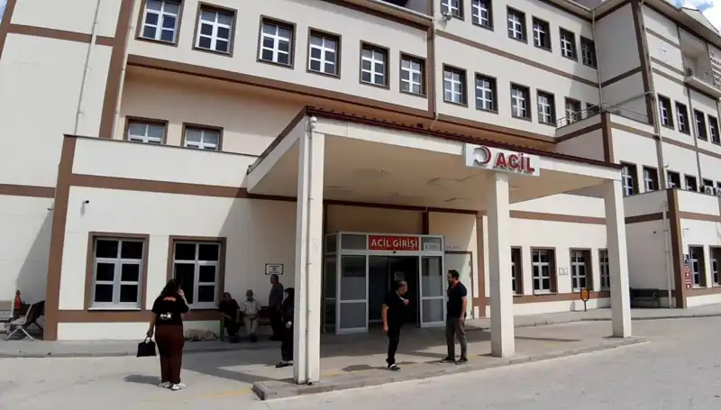 Bolu'da Ayı Avı Tartışmaları: Doğa Koruma ve Geleneksel Avcılık Arasında Dengeyi Bulmak
