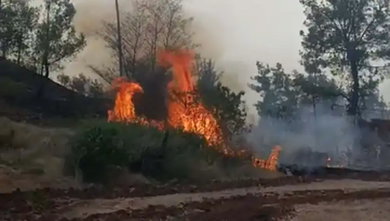 Denizli’de Yerel Orman Yangını: 7 Hektar Zarar Gördü