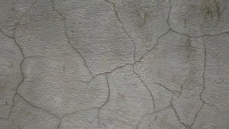 Canlı Beton: Geleceği Şekillendiren İnovatif Malzeme