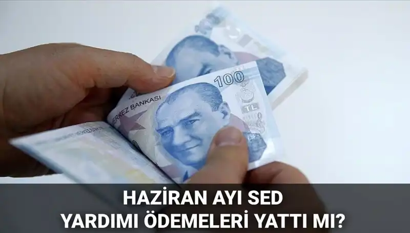 Haziran 2025 SED Ödemeleri: Ne Zaman Yatacak, Sorgulama Nasıl Yapılır?