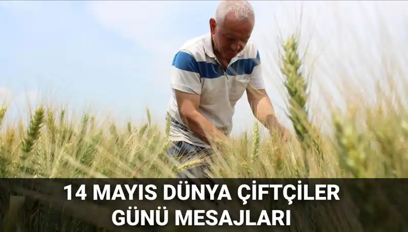 14 Mayıs Dünya Çiftçiler Günü: Çiftçilerin Emeklerini Kutlayalım!
