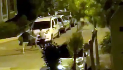 Avcılar'da Vatandaşın Saldırısına Destanı: Kahramanlar Yetişti